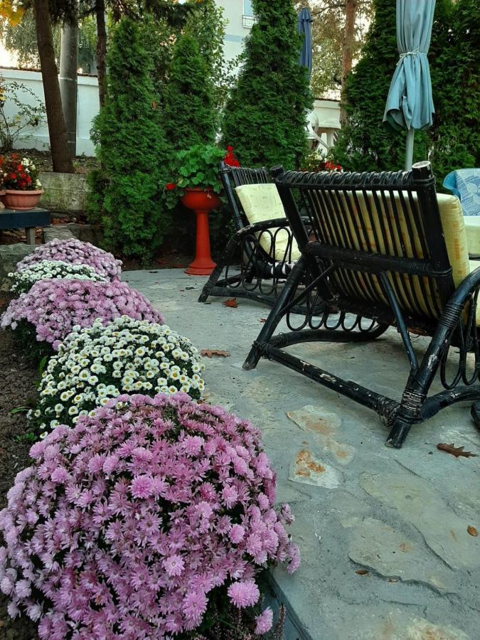 Apartment Queen Belgrád Kültér fotó
